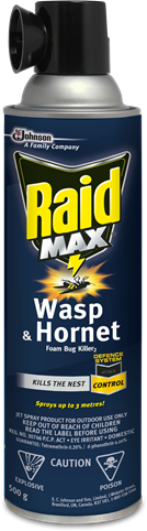 Raid® Max Wasp & Hornet Foam Bug Killer