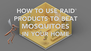 get rid of mosquitoes