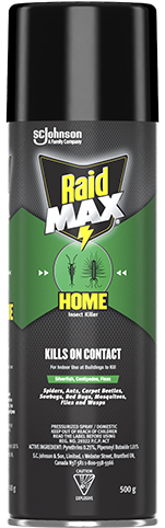 Raid insect killer discount