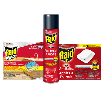 Find the Raid® Product That's Right For You
