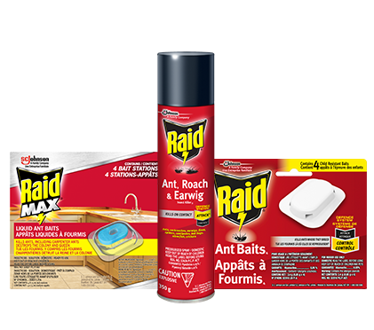 Raid ants shop
