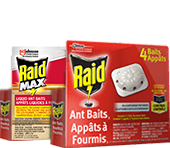 Control Bugs