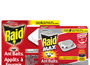 raid bait products