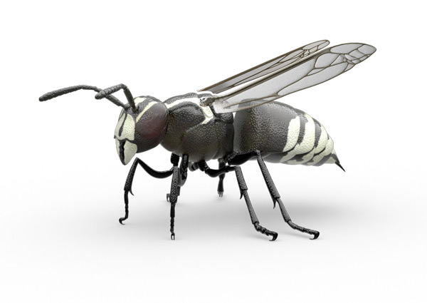 Hornet