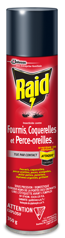 Raid® Insecticide contre fourmis, coquerelles et perce-oreilles 16A