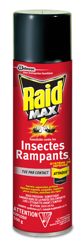 Raid Max Insecticide contre les insectes rampants 