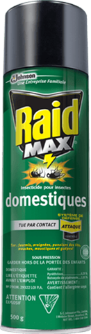 Raid Max Insecticide pour insectes domestiques