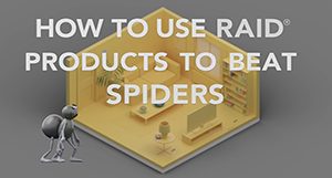 get rid of spiders