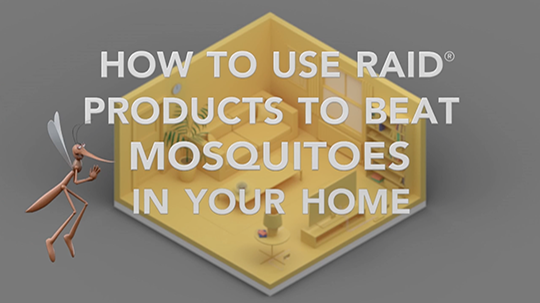 Raid How to Beat Mosquitoes