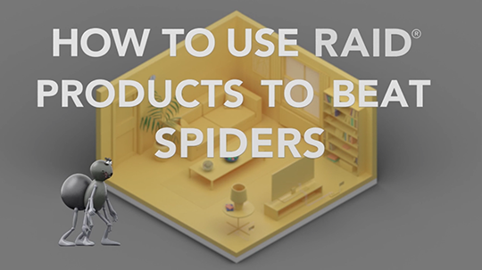 Comment utiliser les produits Raid pour combattre les araignées